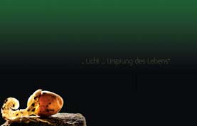 Licht