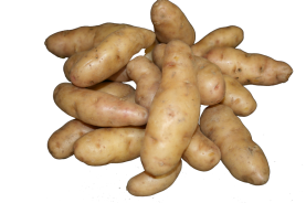 Bamberger Hörnchen