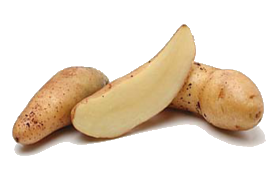 La Ratte